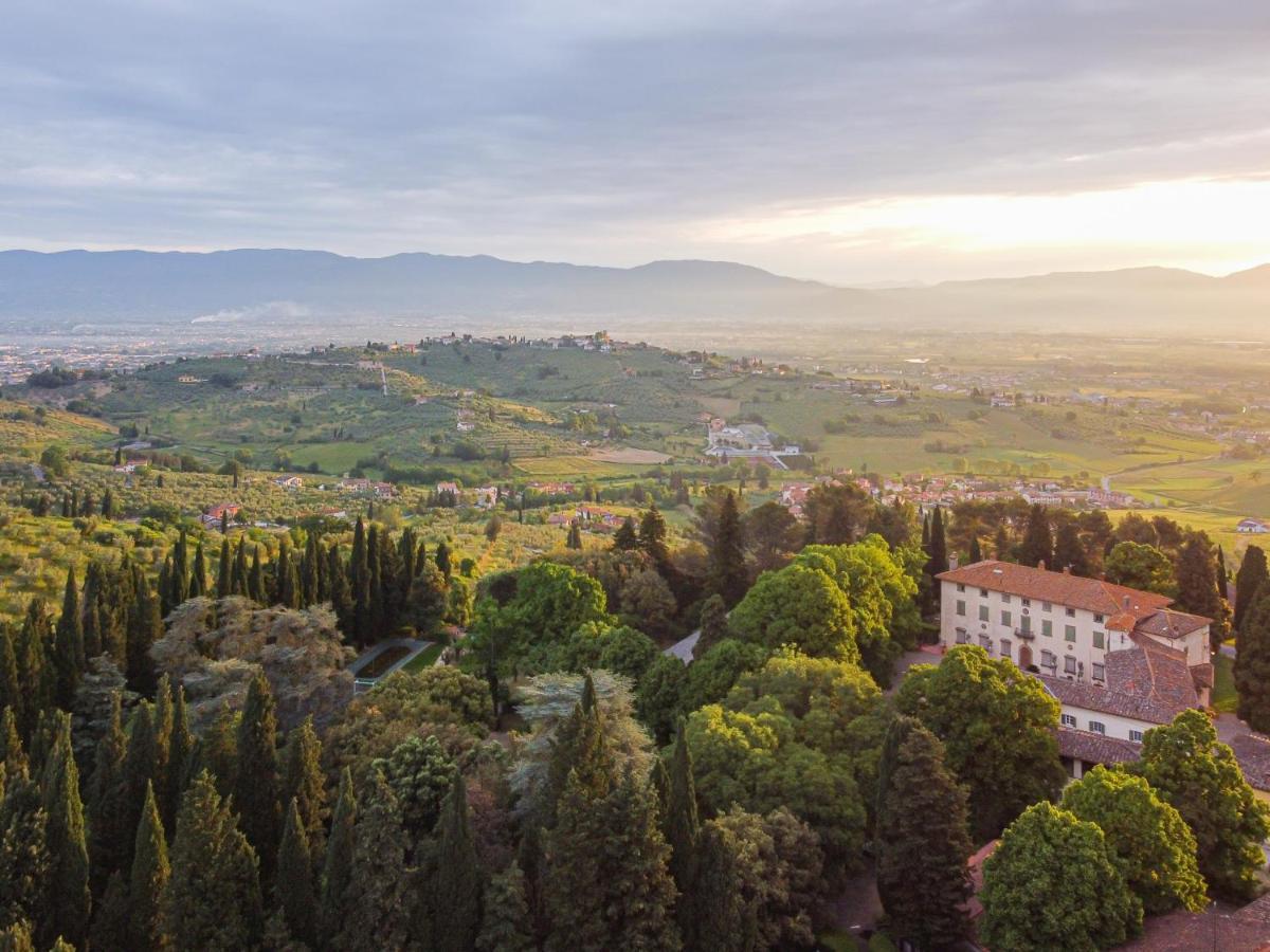 La Fattoria Di Capezzana