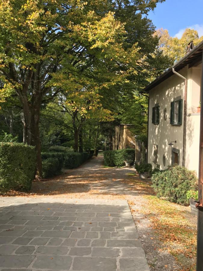 La Fattoria Di Capezzana * Carmignano